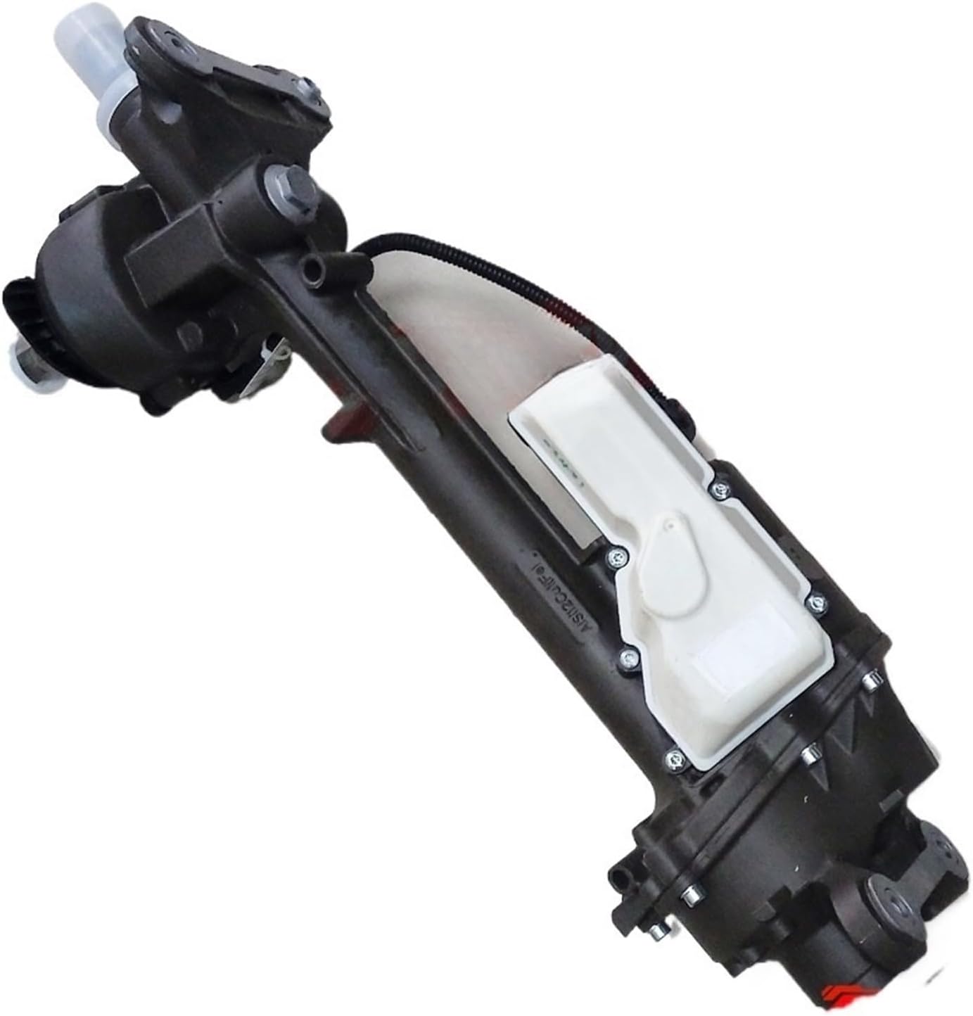 ベゴニア マクラータ ￼ピンク 斑入り 3号ポット ベゴニア：マクラータ